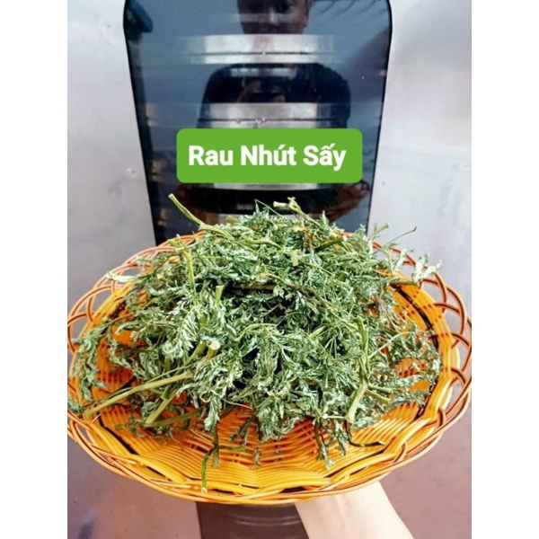 RAU NHÚT SẤY XUẤT KHẨU