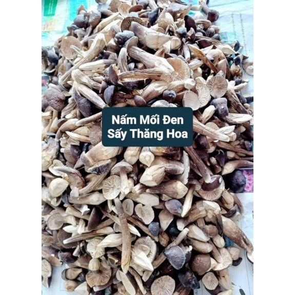 NẤM MỐI SẤY THĂNG HOA