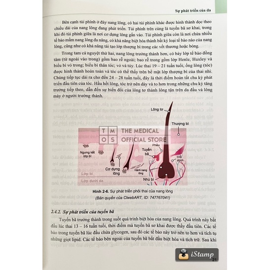 Sách - Da Liễu Cơ Bản và Bệnh Da Liễu Thường Gặp Tmos