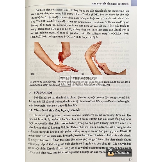 Sách - Da Liễu Cơ Bản và Bệnh Da Liễu Thường Gặp Tmos