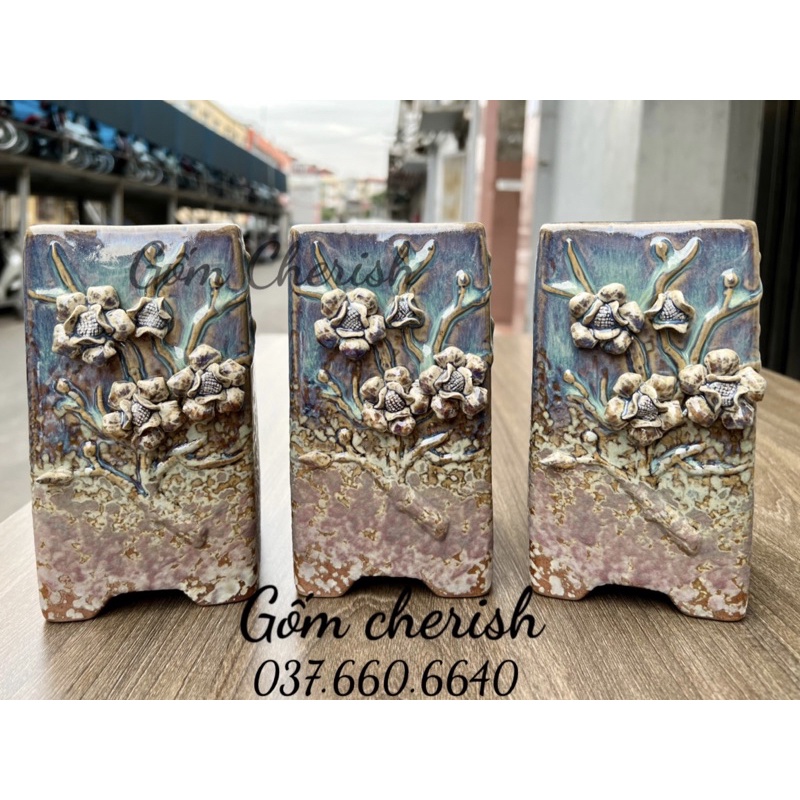 Chậu trồng cây cảnh sen đá xương rồng dáng cao, hoa nổi