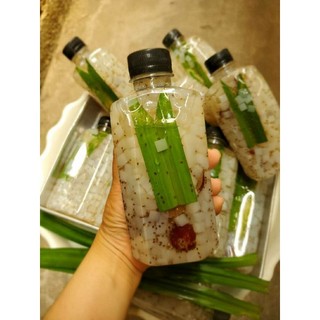 {200G } NHÃN NHỤC SẤY NGON