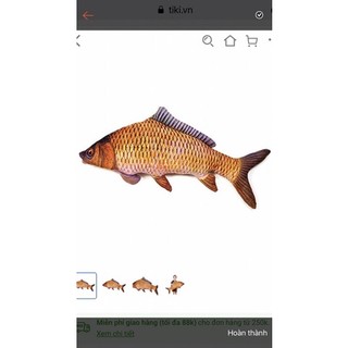 Gấu bông gối ôm cá chép 3d cao cấp