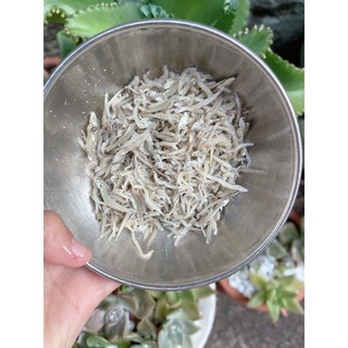 Khô cá cơm mờm  sữa )