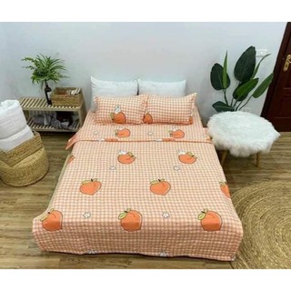Chăn ga gối (nink khách đặt lẻ tách sét)