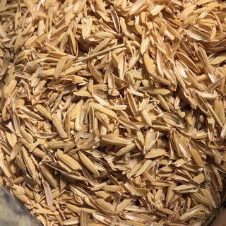Combo 10kg vỏ trấu tươi