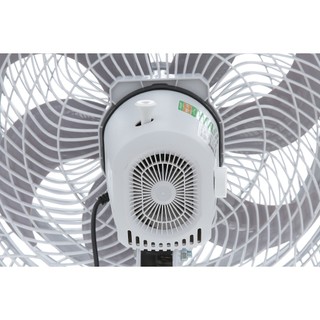Quạt cây Asia VY639990