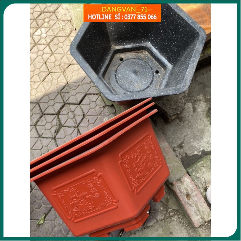 Chậu nhựa trồng cây màu giả đá lục giác, chậu to dày dặn bền đẹp, có chân cao 3cm và thân châu sâu rộng diện tích lớn