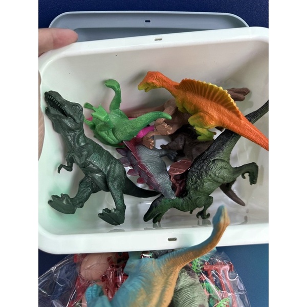 THÙNG KHỦNG LONG ĐẸP