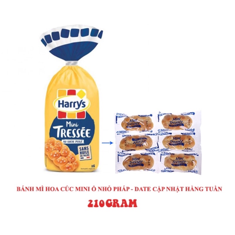 Bánh mì Hoa Cúc Pháp ổ lớn 500g ổ nhỏ 210g