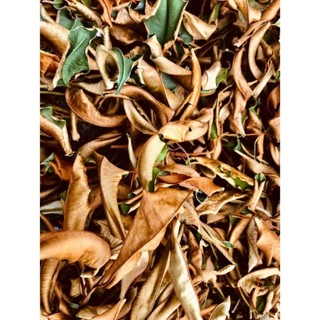 1kg lá vú sữa khô