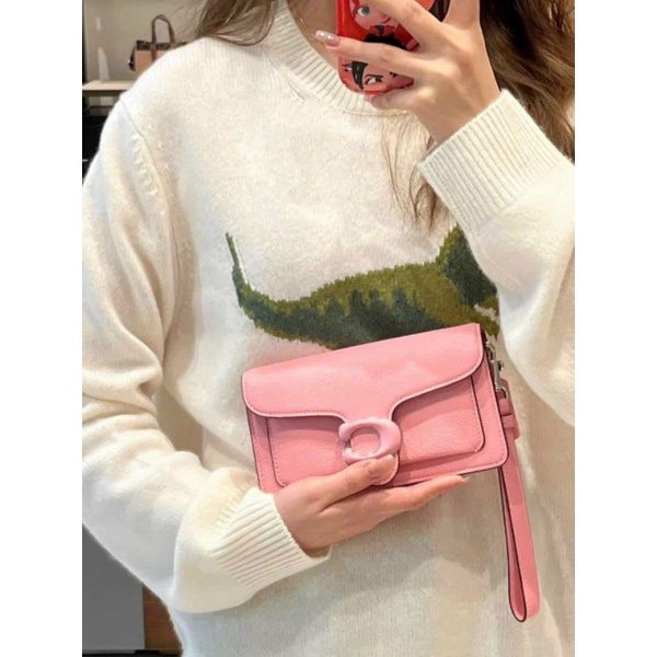 CLUTCH COACH TABBY CHAIN