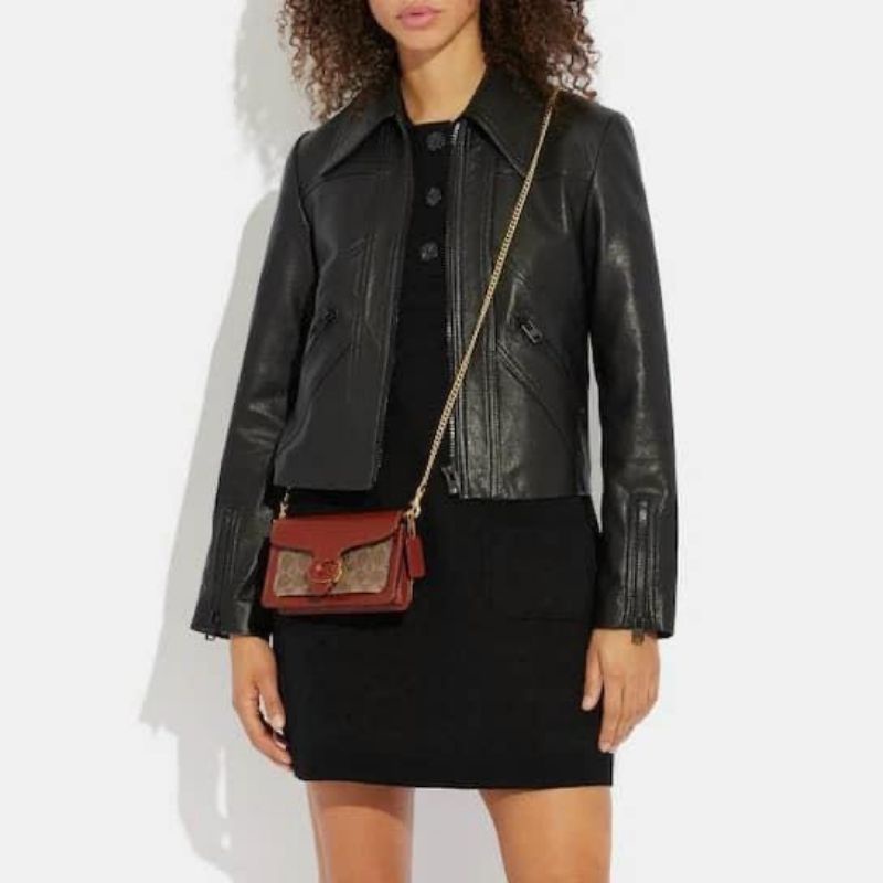 CLUTCH COACH TABBY CHAIN