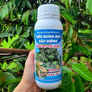 Siêu bung đọt chuyên sầu riêng - phân bón kích đọt, lá, rễ chuyên sầu riêng
