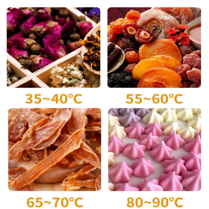 Lò sấy thực phẩm đa năng, máy sấy trái cây 10 tầng inox