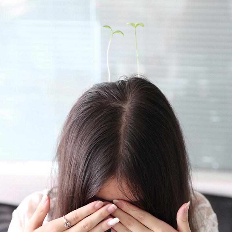 Kẹp Tóc Hình Cây Mầm Non Dễ Thương Cho Bé