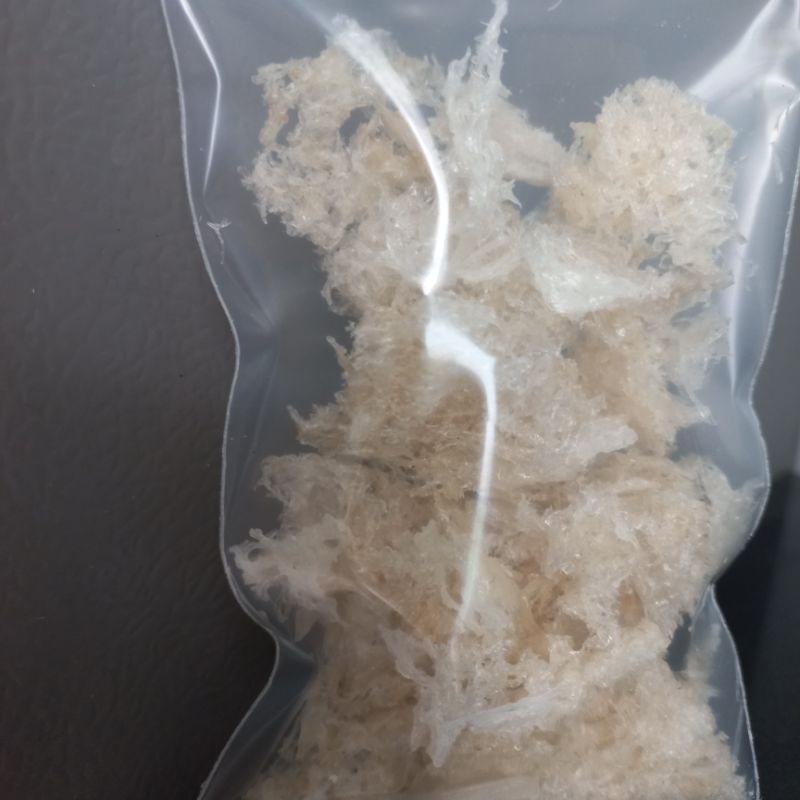 20g vụn yến sạch lông