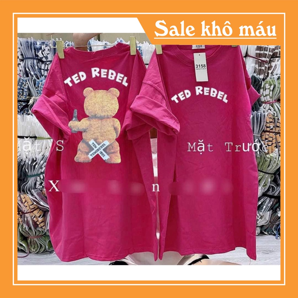 Áo phông gấu Ted Rebel Basic thun cotton nam nữ Rẻ nhất Shopee Chất | BigBuy360 - bigbuy360.vn