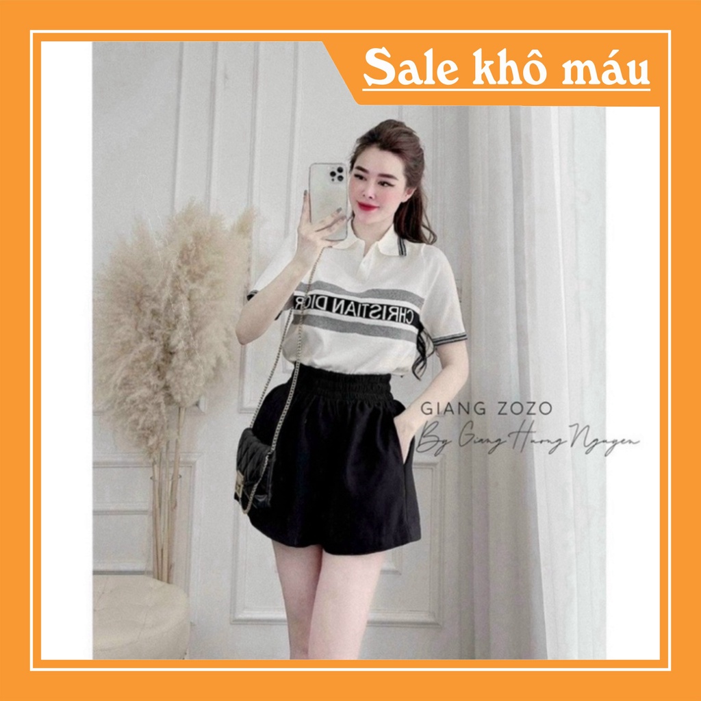 Áo len cổ bẻ in chữ dáng vừa ngắn tay, Áo kiểu cổ viền vải len co giãn Rẻ nhất Shopee Chất | BigBuy360 - bigbuy360.vn