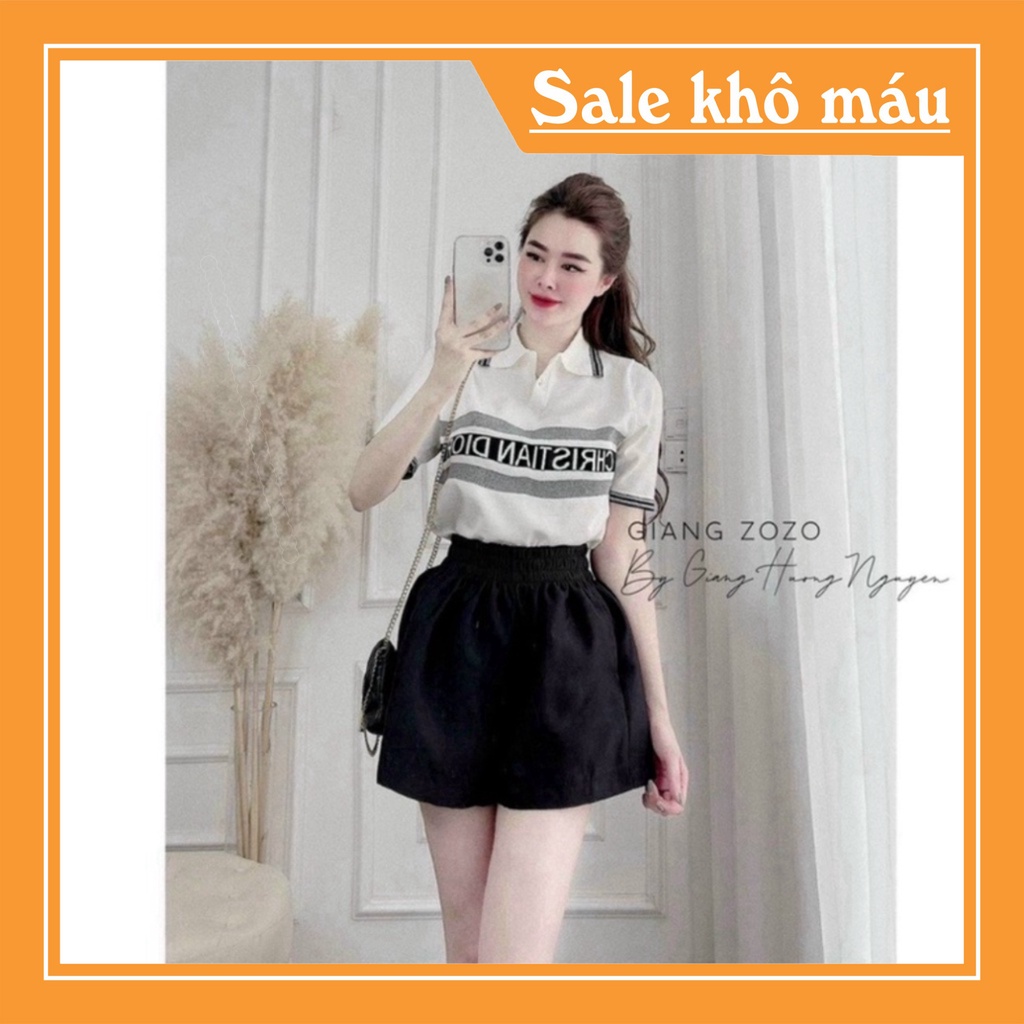 Áo len cổ bẻ in chữ dáng vừa ngắn tay, Áo kiểu cổ viền vải len co giãn Rẻ nhất Shopee Chất | BigBuy360 - bigbuy360.vn