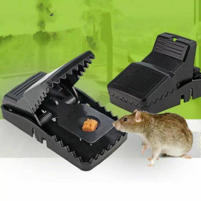Bẫy chuột đen thông minh -Cleanhomestore