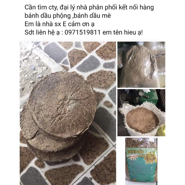 (khuyến mãi)bánh dầu phông nguyên chất