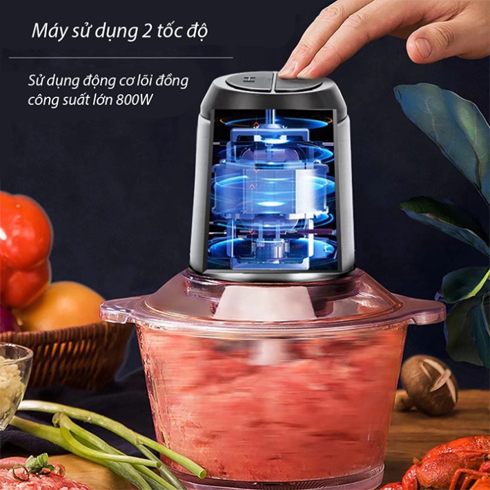 Máy xay thịt cá, xay hành tỏi đa năng 800W cối thủy tinh
