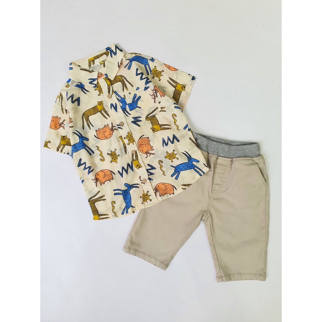 Sơ mi thô đũi xuất Hàn màu be động vật in tràn size 110 - 150