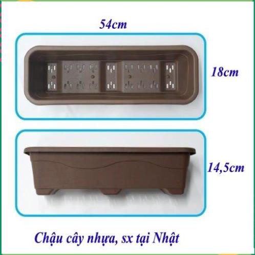 Bộ 4 chậu cây nhựa dạng chữ nhật dài, màu nâu có lỗ thoát nước 54x18cm cao 14,5cm. sx tại Nhật