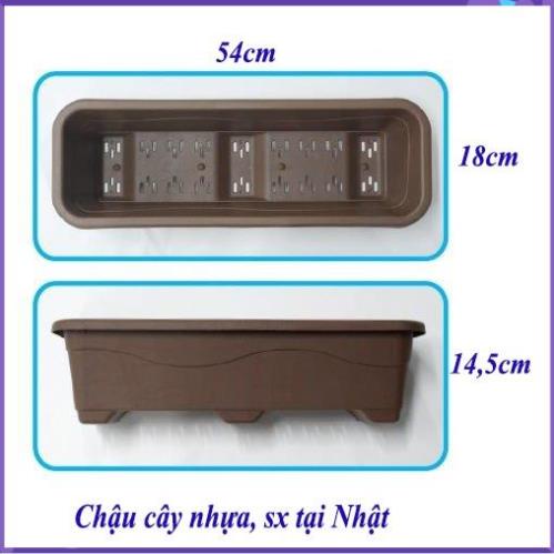 Bộ 4 chậu cây nhựa dạng chữ nhật dài, màu nâu có lỗ thoát nước 54x18cm cao 14,5cm. sx tại Nhật