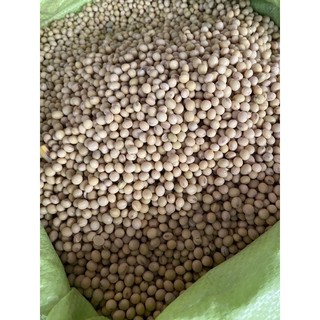 [ Chọn loại ] Các loại đậu (200gr-2lạng )