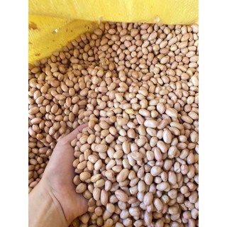 [ Chọn loại ] Các loại đậu (200gr-2lạng )
