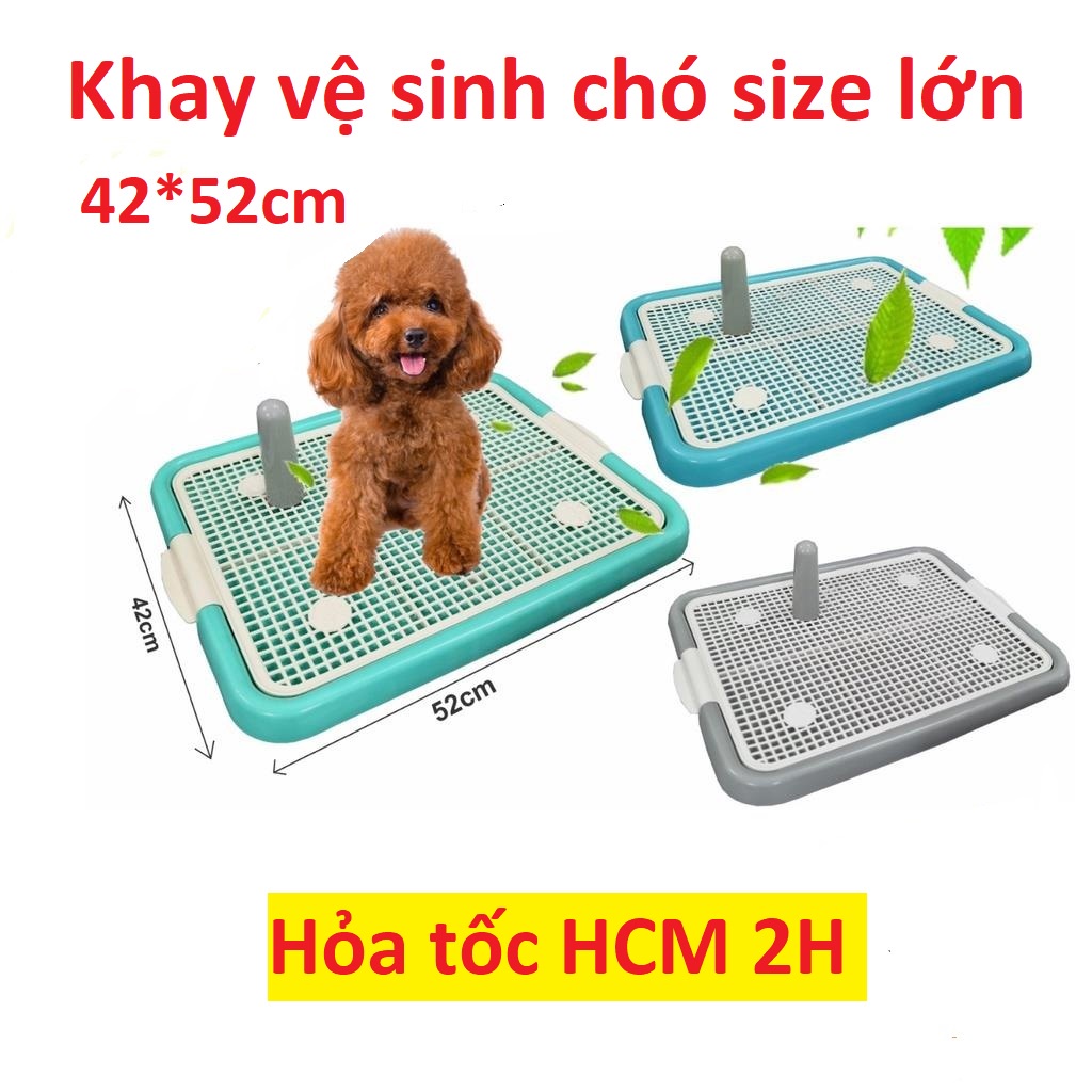 Khay vệ sinh Cho Chó Size Lớn 42x52cm Kèm Trụ (Chó Dưới 10kg)