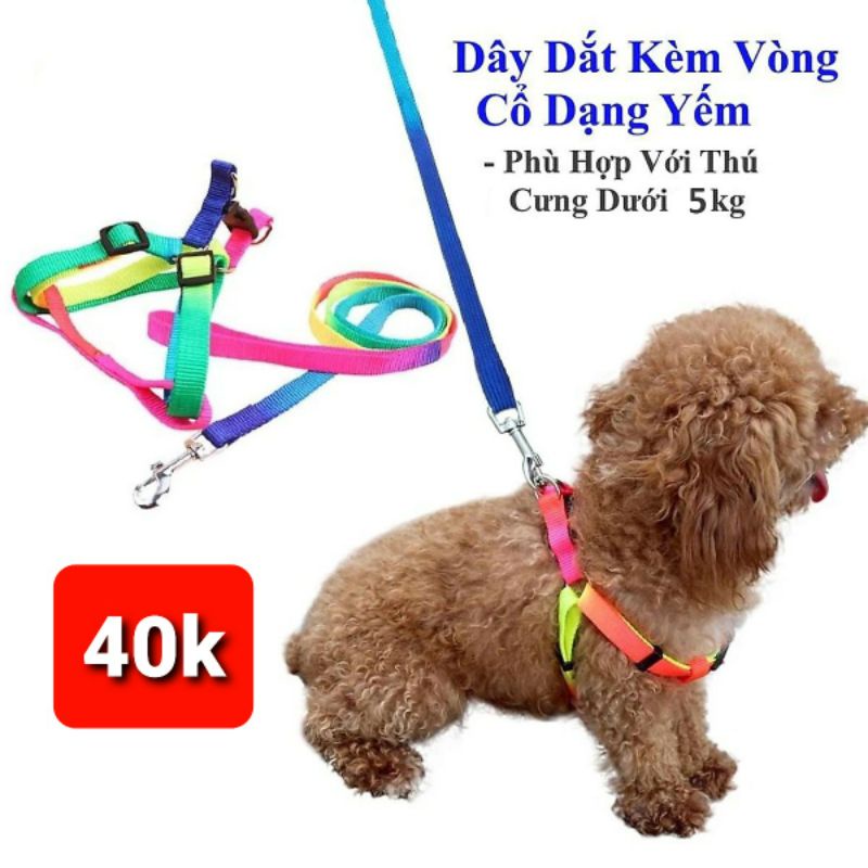 Dây dắt chó mèo kèm yếm ngực bản 1.0 bé dưới 5 kg màu sắc 7 màu bắt mắ