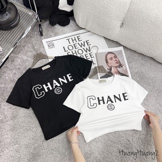 Áo croptop CHA X chất bozip TTA866