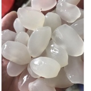 Hạt đát tươi 1kg