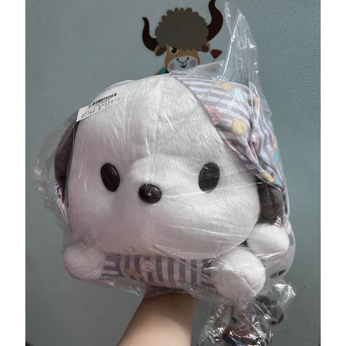 Thú bông Pochacco bông Sleeping Comfortably chính hãng Sanrio