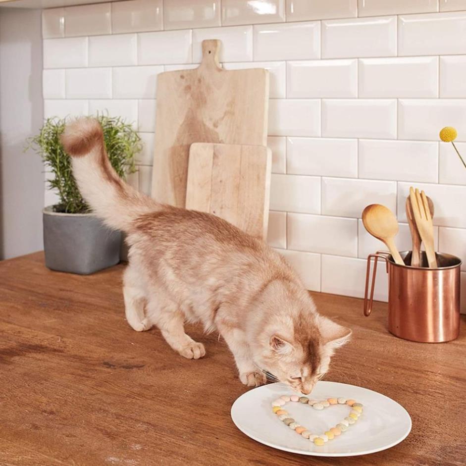 Viên Phomai Gimcat dưỡng lông cho mèo đồ ăn vặt cho mèo giảm stress