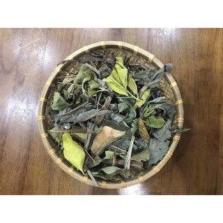 Trà rừng Cù Lao Chàm (Lá Lao) lá mùng 5 tự nhiên