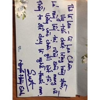Trà rừng Cù Lao Chàm (Lá Lao) lá mùng 5 tự nhiên