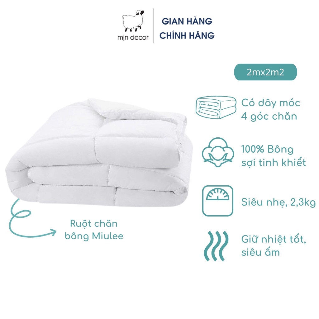 Ruột chăn Miulee Mịn Decor siêu nhẹ phù hợp với tất cả thời tiết thoáng mát cao cấp