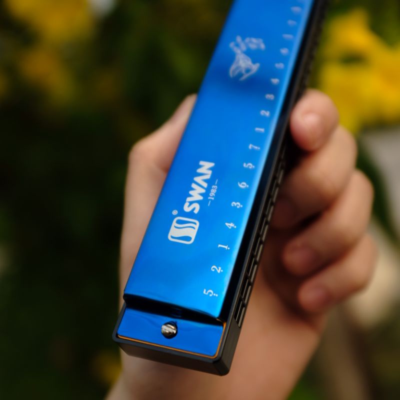 Kèn harmonica 24 lỗ kép tone C (phổ biến nhất) | Chất liệu bề mặt làm từ titan | Chuẩn âm khớp beat