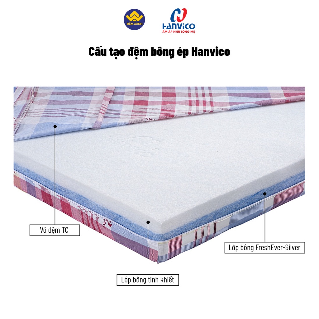 Đệm bông ép Hanvico chống khuẩn - bảo hành chính hãng