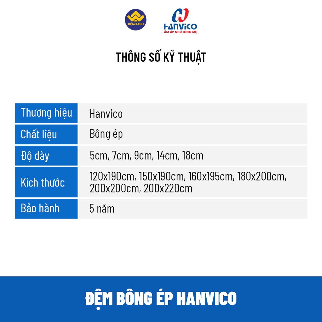 Đệm bông ép Hanvico chống khuẩn - bảo hành chính hãng