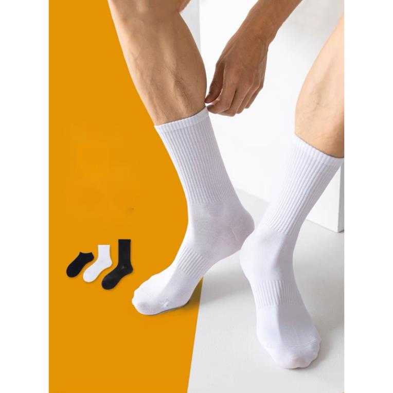 Tất nam nữ cổ cao trơn gân thể thao thời trang cao cấp Softie