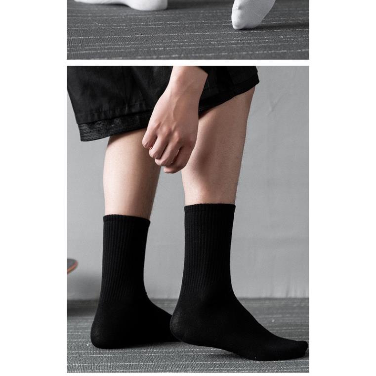 Tất nam nữ cổ cao trơn gân thể thao thời trang cao cấp Softie