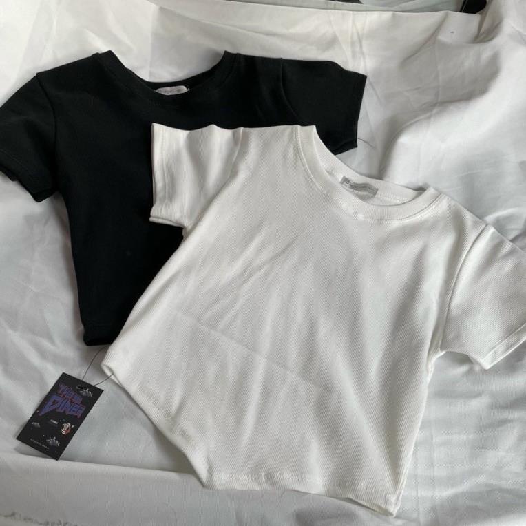 Áo Cộc Tay Nữ Croptop Vạt Nhọn Ôm Body Chất Thun Gân Tăm Softie B04