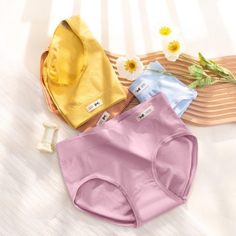 Quần lót nữ cotton thú cưng không đường may ( được chọn màu ) Softie 524