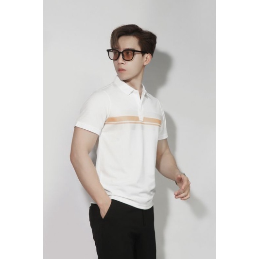 Polo nam phối màu Cotton basic phối màu đơn giản, nhẹ nhàng, phom dáng hàn quốc