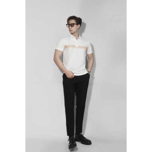 Polo nam phối màu Cotton basic phối màu đơn giản, nhẹ nhàng, phom dáng hàn quốc